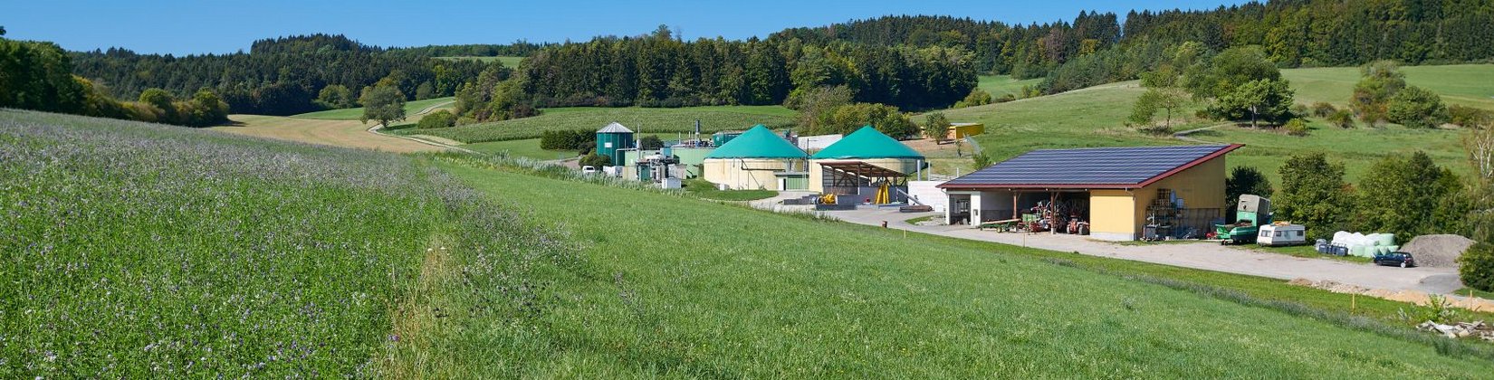 PV- und Biogasanlagen in Mauenheim, Baden-Württemberg