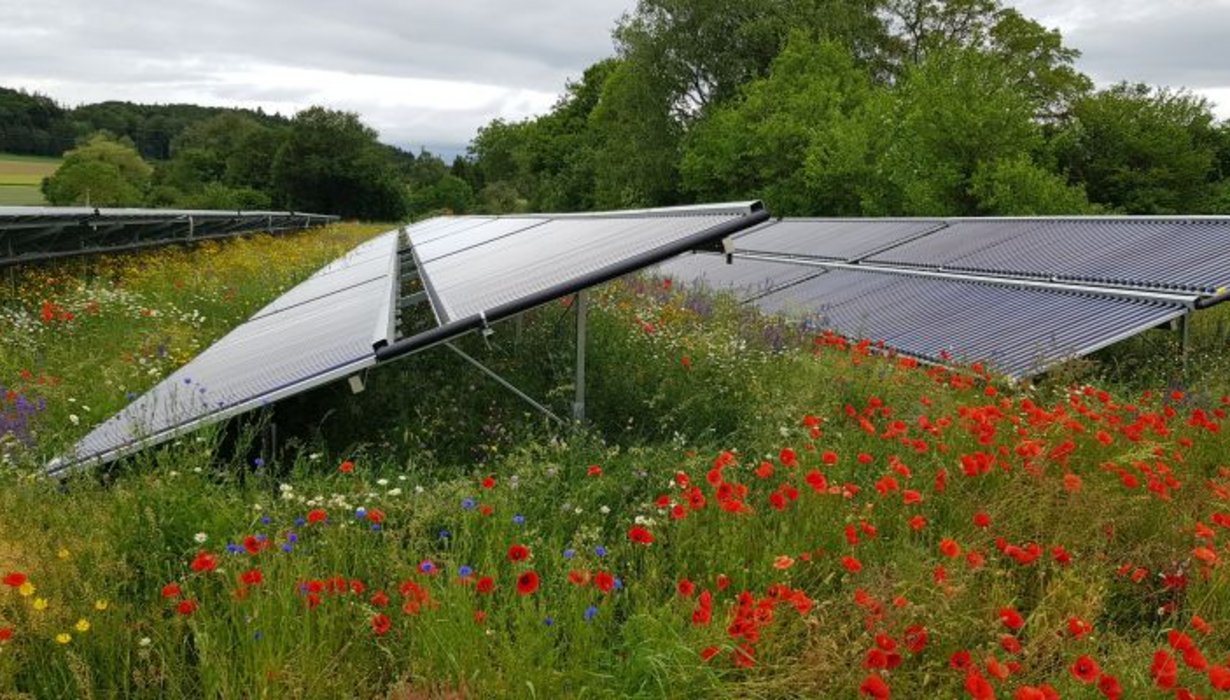 Webseminar: „Solarthermie in kommunalen Wärmenetzen mit Einblicken in das Projekt SolnetPlus“