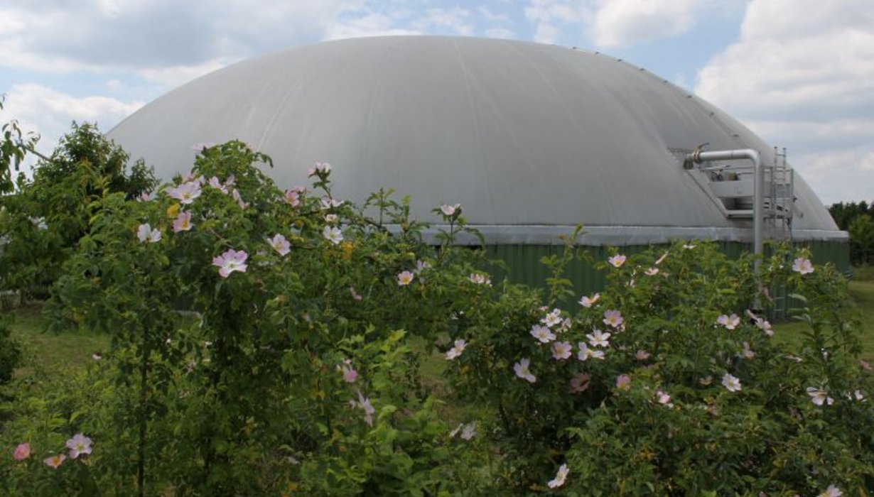 Biogas in Baden-Württemberg
