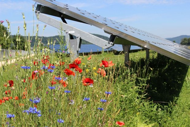 Solarpark Mooshof am Bodensee, © Plattform EE BW