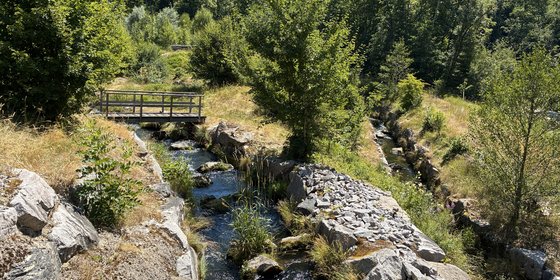 Fischaufstieg © Dr. Stefanie Hähnlein