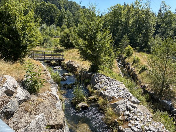 Fischaufstieg © Dr. Stefanie Hähnlein