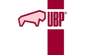 UBP-consulting GmbH & Co. KG